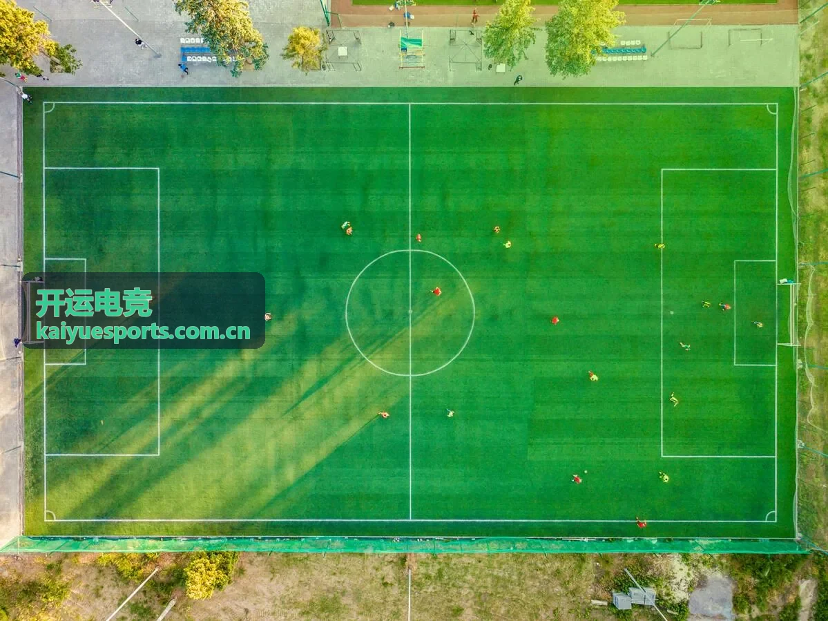 开运电竞案例英雄联盟
